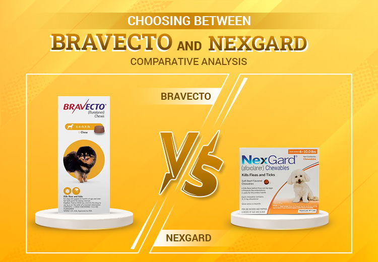 Choosing Between Bravecto and Nexgard: Comparative Analysis